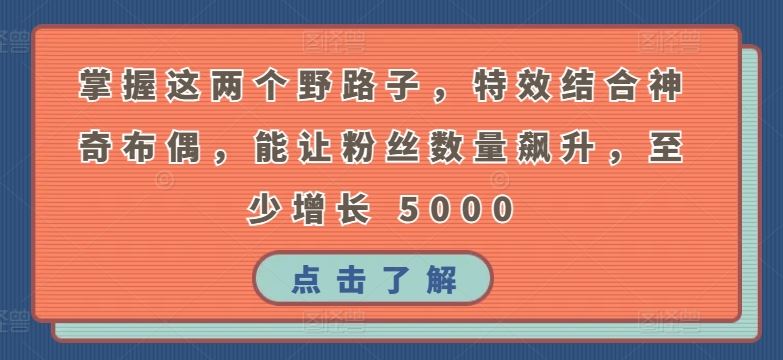 掌握这两个野路子，特效结合神奇布偶，能让粉丝数量飙升，至少增长 5000【揭秘】-新星起源