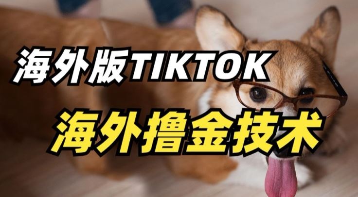 抖音海外版tiktok撸金技术，这个风口行业，赚钱真的不难【揭秘】-新星起源