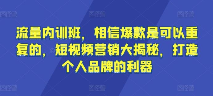 流量内训班，相信爆款是可以重复的，短视频营销大揭秘，打造个人品牌的利器-新星起源