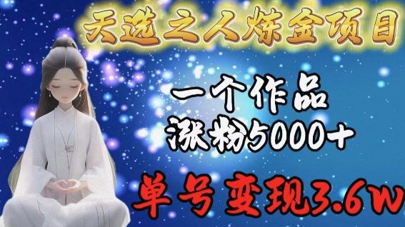 天选之人炼金项目，一个作品涨粉5000+，单号变现3.6w【揭秘】-新星起源