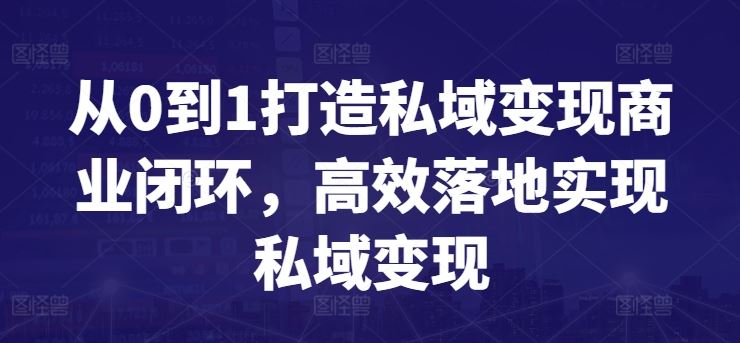 从0到1打造私域变现商业闭环，高效落地实现私域变现-新星起源