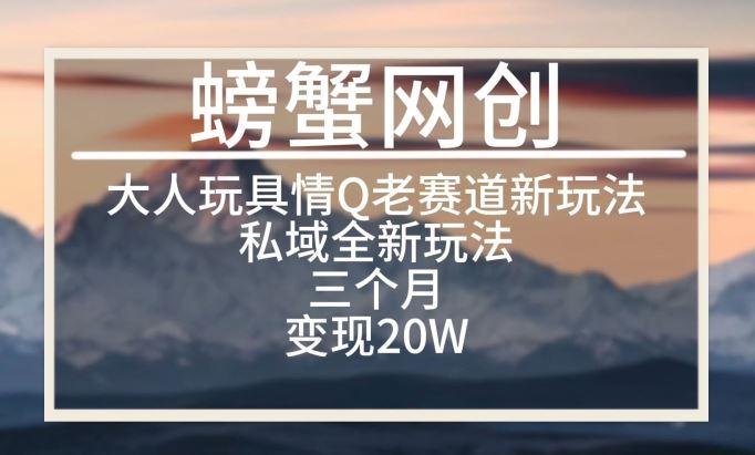 大人玩具情Q用品赛道私域全新玩法，三个月变现20W，老项目新思路【揭秘】-新星起源