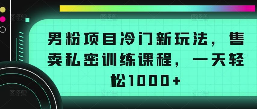 男粉项目冷门新玩法，售卖私密训练课程，一天轻松1000+【揭秘】-新星起源