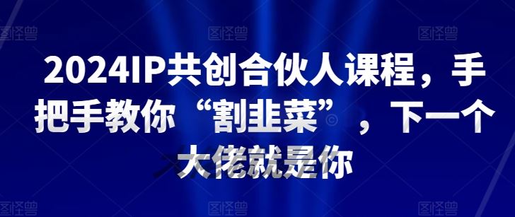 2024IP共创合伙人课程，手把手教你“割韭菜”，下一个大佬就是你-新星起源