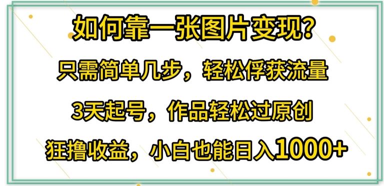 如何靠一张图片变现?只需简单几步，轻松俘获流量，3天起号，作品轻松过原创【揭秘】-新星起源