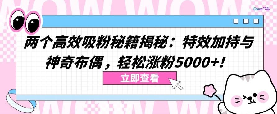 两个高效吸粉秘籍揭秘：特效加持与神奇布偶，轻松涨粉5000+【揭秘】-新星起源