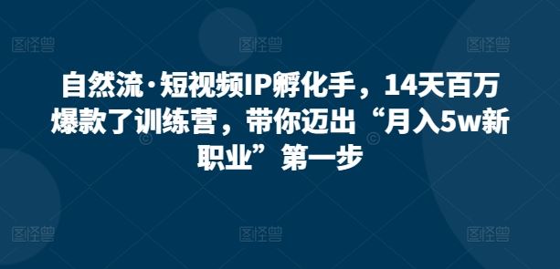 自然流·短视频IP孵化手，14天百万爆款了训练营，带你迈出“月入5w新职业”第一步-新星起源