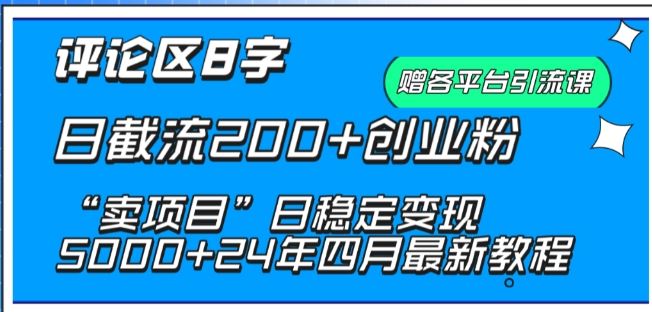 抖音评论区8字日截流200+创业粉 “卖项目”日稳定变现5000+【揭秘】-新星起源