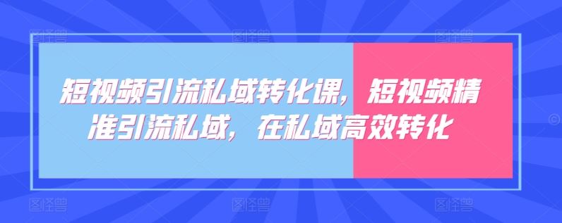 短视频引流私域转化课，短视频精准引流私域，在私域高效转化-新星起源