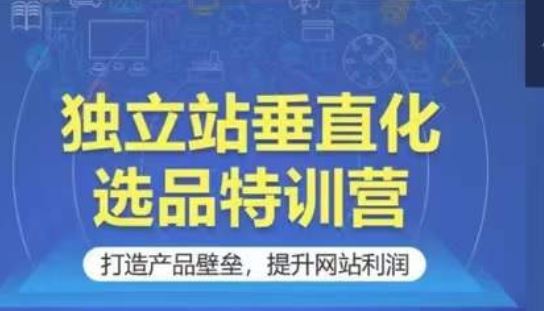 独立站垂直化选品特训营，打造产品壁垒，提升网站利润-新星起源