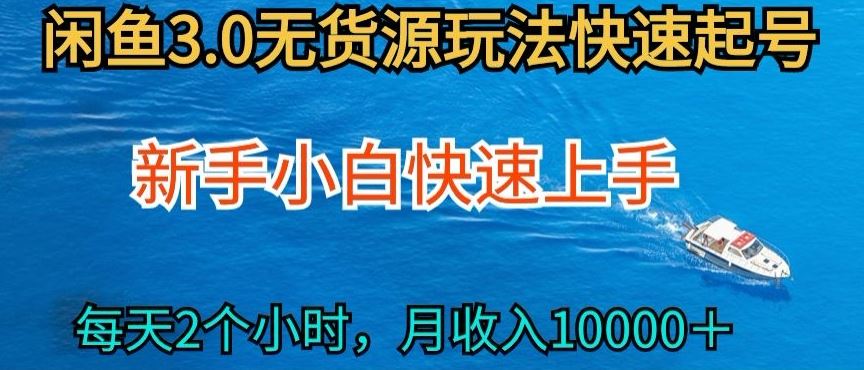 2024最新闲鱼无货源玩法，从0开始小白快手上手，每天2小时月收入过万【揭秘】-新星起源