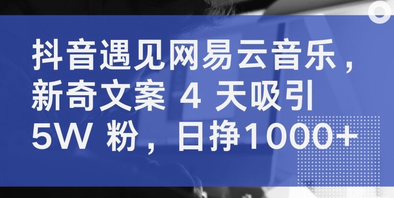 抖音遇见网易云音乐，新奇文案 4 天吸引 5W 粉，日挣1000+【揭秘】-新星起源