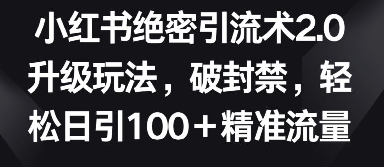 小红书绝密引流术2.0升级玩法，破封禁，轻松日引100+精准流量【揭秘】-新星起源