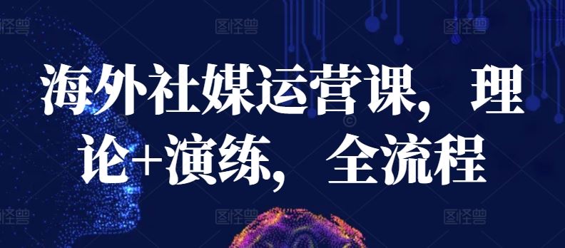 海外社媒运营课，理论+演练，全流程-新星起源