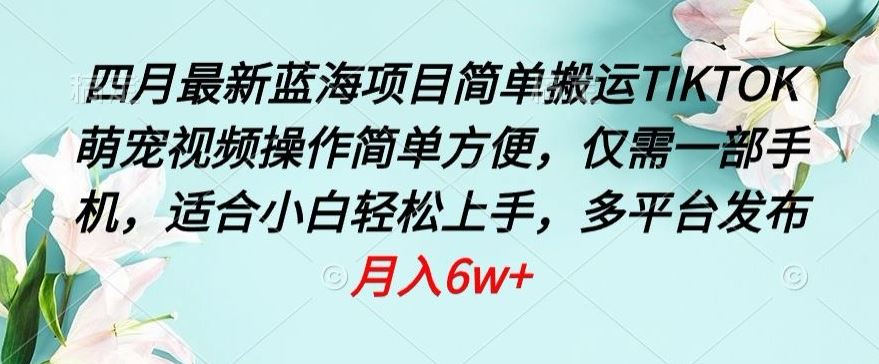 四月最新蓝海项目，简单搬运TIKTOK萌宠视频，操作简单方便，仅需一部手机【揭秘】-新星起源