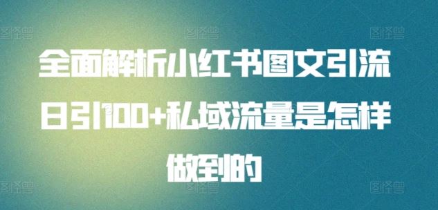 全面解析小红书图文引流日引100+私域流量是怎样做到的【揭秘】-新星起源