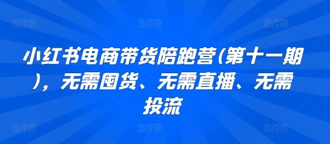 小红书电商带货陪跑营(第十一期)，无需囤货、无需直播、无需投流-新星起源