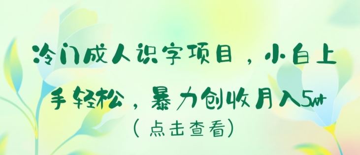 冷门成人识字项目，小白上手轻松，暴力创收月入5w+【揭秘】-新星起源