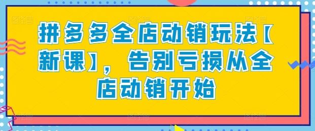 拼多多全店动销玩法【新课】，告别亏损从全店动销开始-新星起源