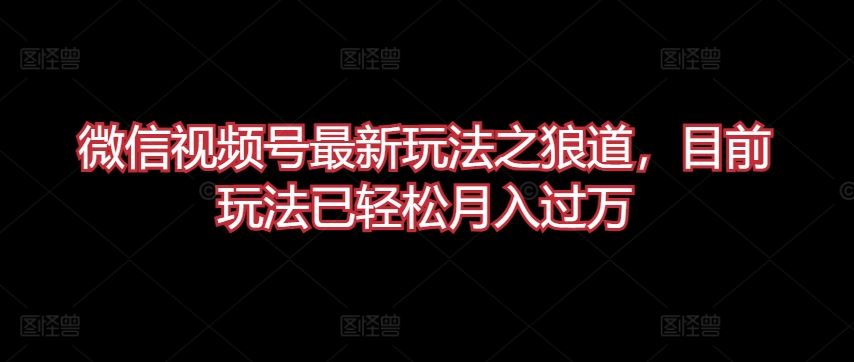 微信视频号最新玩法之狼道，目前玩法已轻松月入过万【揭秘】-新星起源