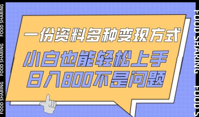 一份资料多种变现方式，小白也能轻松上手，日入800不是问题【揭秘】-新星起源