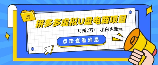 拼多多虚拟U盘电商红利项目：月赚2万+，新手小白也能玩-新星起源