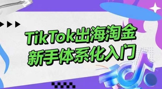 TikTok出海淘金，新手体系化入门，零基础快速入门，掌握短视频、直播带货等引流到变现的知识-新星起源