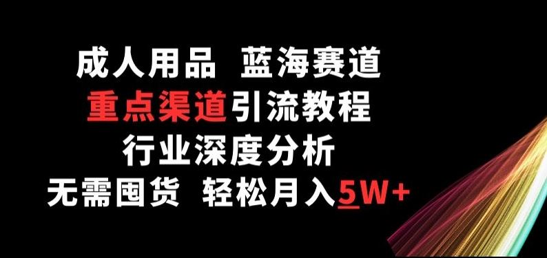 成人用品，蓝海赛道，重点渠道引流教程，行业深度分析，无需囤货，轻松月入5W+【揭秘】-新星起源