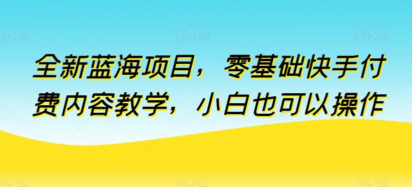 全新蓝海项目，零基础快手付费内容教学，小白也可以操作【揭秘】-新星起源