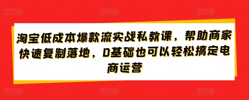 淘宝低成本爆款流实战私教课，帮助商家快速复制落地，0基础也可以轻松搞定电商运营-新星起源