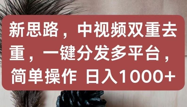 新思路，中视频双重去重，一键分发多平台，简单操作，日入1000+【揭秘】-新星起源