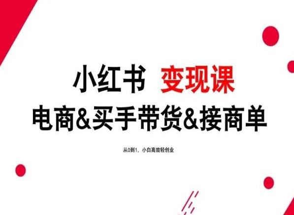 2024年最新小红书变现课，电商&买手带货&接商单，从0到1，小白高效轻创业-新星起源