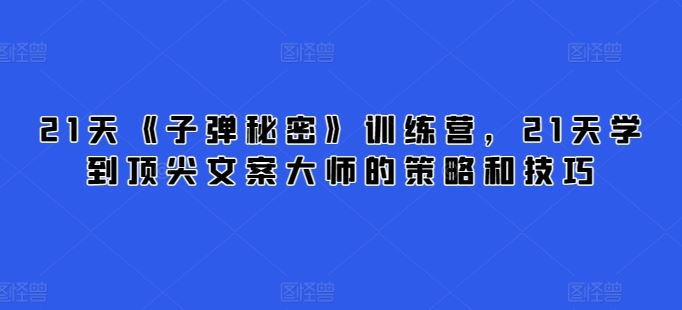 21天《子弹秘密》训练营，21天学到顶尖文案大师的策略和技巧-新星起源