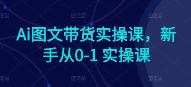 Ai图文带货实操课，新手从0-1 实操课-新星起源