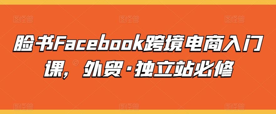 脸书Facebook跨境电商入门课，外贸·独立站必修-新星起源