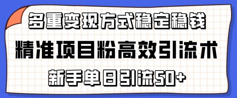 精准项目粉高效引流术，新手单日引流50+，多重变现方式稳定赚钱【揭秘】-新星起源