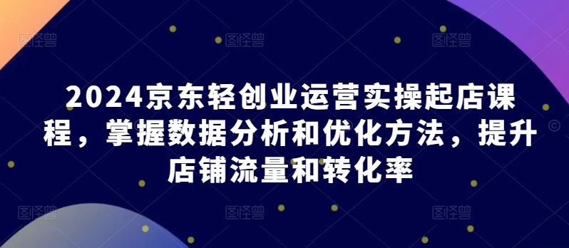 2024京东轻创业运营实操起店课程，掌握数据分析和优化方法，提升店铺流量和转化率-新星起源