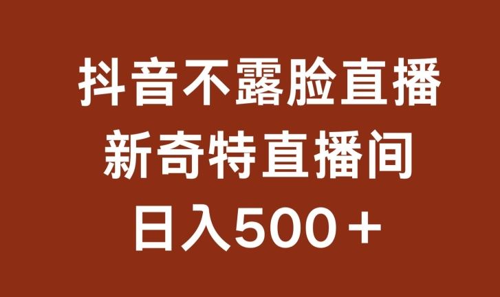 不露脸挂机直播，新奇特直播间，日入500+【揭秘】-新星起源