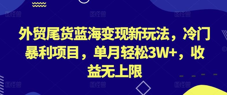 外贸尾货蓝海变现新玩法，冷门暴利项目，单月轻松3W+，收益无上限【揭秘】-新星起源