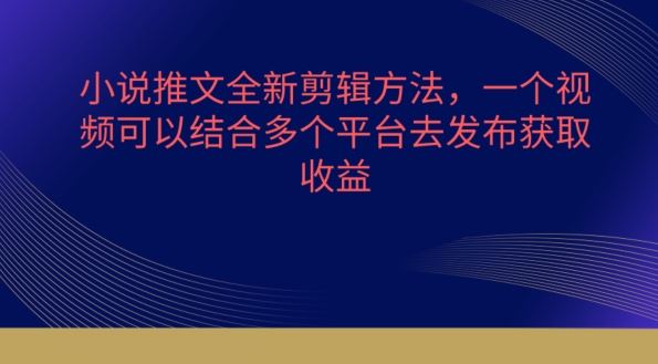 小说推文全新剪辑方法，一个视频可以结合多个平台去发布获取【揭秘】-新星起源