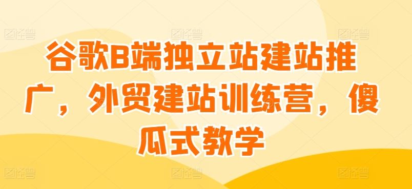 谷歌B端独立站建站推广，外贸建站训练营，傻瓜式教学-新星起源