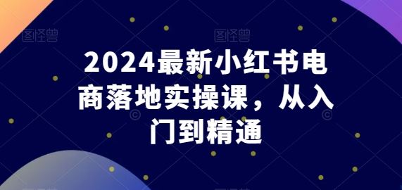 2024最新小红书电商落地实操课，从入门到精通-新星起源