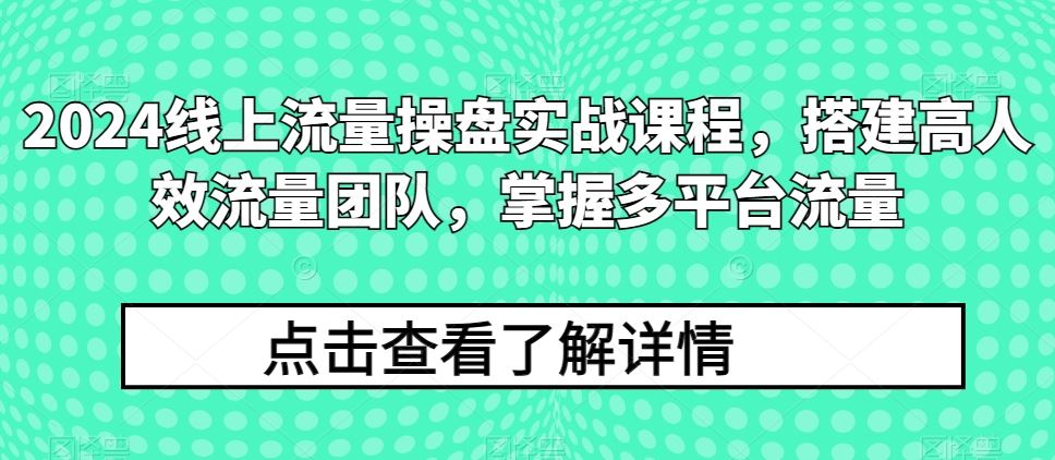 2024线上流量操盘实战课程，搭建高人效流量团队，掌握多平台流量-新星起源