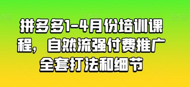 拼多多1-4月份培训课程，自然流强付费推广全套打法和细节-新星起源