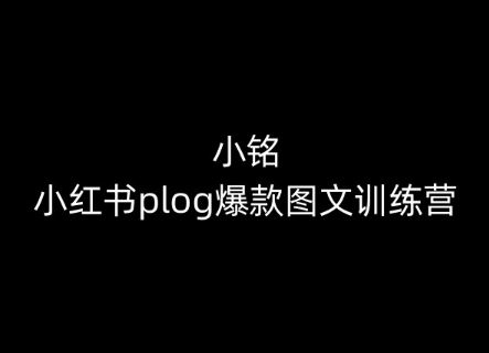 小铭-小红书plog爆款图文训练营，教你从0-1做小红书-新星起源