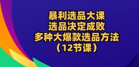 暴利选品大课：选品决定成败，教你多种大爆款选品方法(12节课)-新星起源