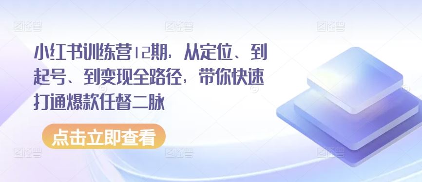 小红书训练营12期，从定位、到起号、到变现全路径，带你快速打通爆款任督二脉-新星起源