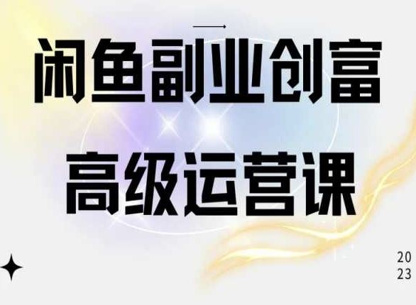 闲鱼电商运营高级课程，一部手机学会闲鱼开店赚钱-新星起源