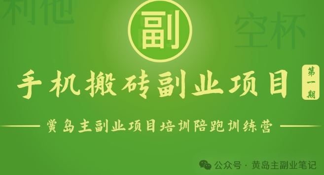 手机搬砖小副业项目训练营1.0，实测1小时收益50+，一部手机轻松日入100+-新星起源