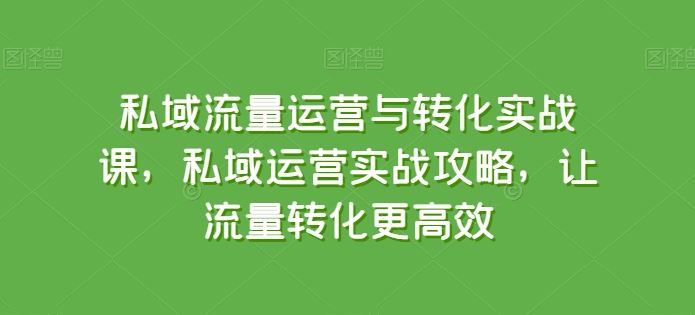 私域流量运营与转化实战课，私域运营实战攻略，让流量转化更高效-新星起源